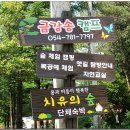 금강송민박 이미지