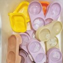 몽몽이애견 이미지