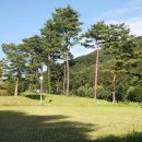 미동산수목원 이미지