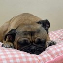 지에스(GS)25 송내퍼스트점 이미지