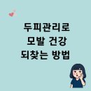 형곡로2L-3 | 구미두피관리 혈류 순환으로 모발 건강 되찾는 방법