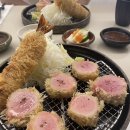 돈카츠 지도(with 히레)