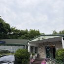 애니골 식당 한정식 쌈밥 맛있는 잎새 후기