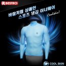 스카이블루 이미지