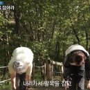 누가노인건강교실 네이버블로그