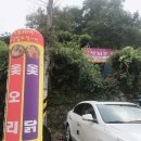 토종집(빨래골옻닭) 이미지