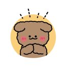 제니스펫 이미지