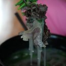 한송식당 - 동구 | 한송식당