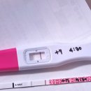 차부약국 | 일산 마리아병원 5일 배양 동결이식 후 증상 기록: 1~9일차 기록, 1차 피검수치 (착상혈 구분법)