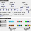 [과학카페] '푸른' 종소리 '보는' 공감각의 비밀 풀렸다 이미지