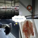 도깨비 낚시터 이미지