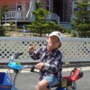 대관령 그림같은 펜션 이미지