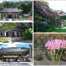 거물 | 구미 근교 김천 가볼만한곳 여름여행 유명한절 김천 황악산 직지사 계곡