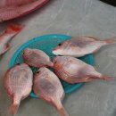 서귀포자연휴양림야영장 이미지