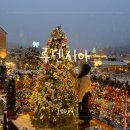 동화속으로 여행가요 | 2025 루덴시아 겨울 방문 후기｜크리스마스 트리·포토스팟 총정리