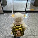 희망 어린이집 | 3월 신학기 어린이집 입소 확정! 점수 산정 기준 &amp; 대기 신청 꿀팁 (연년생 자매 후기)