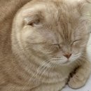 뉴욕 1일차 게이클럽가서 엘보우로 명치맞음