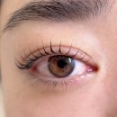 사파동209 | 대박🤍창원속눈썹펌 추천 “오늘 더 나은”