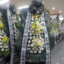 송생초등학교 이미지