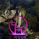 강남새힘마취통증의학과의원 | 서귀포 허리 통증의학과 병원은 여기로 가세요.