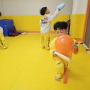 당리태권도 이미지