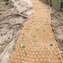 천태산주차장 | 천태산] 천태산 난이도 알레버스 천태산 후기 주차장...야크 100대 명산 천태산 후기 75m암릉 A코스...