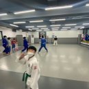 TH 용인대 유도장 이미지