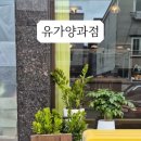 유가양과점 네이버블로그