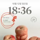 바운스코리아(레드컨테이너) | D-DAY 필리핀 세부 CIA 어학연수 첫째 날 후기 : 출국 준비