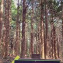 아이클린 이미지