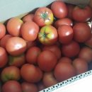 (주)여행조아 이미지