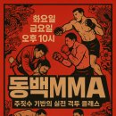 김장용 종합격투기 이미지