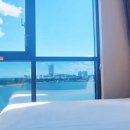 달빛고양이 이미지