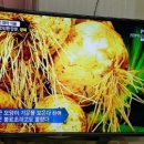 천기누설식품 이미지