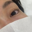 디바브로우 | [워킹맘의 시간쪼개쓰기] 직장인의 점심시간 활용 속눈썹펌 브로우펌 선릉역 끌레르디바 후기