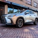 CarMatch ＞ 2024 Lexus NX350 *일본 중형 럭셔리 SUV No.1, 렉서스 NX350* 이미지