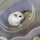서산아크릴