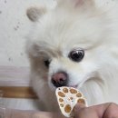 스윗하개 - 울주군 천상중앙길 57-1 | 도봉동 강아지수제간식 스윗하개 설세트 예약 성공 🐾 루이 리얼후기
