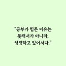 토익 노베이스 한 달 후기