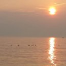 하저해수욕장 이미지