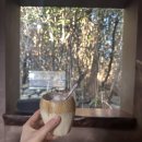 책계일주 | 제주 표선면 책계일주 내돈내산 후기