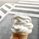 메가투어 이미지