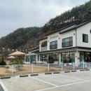 똥개애견카페 이미지