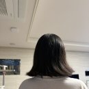 덕수헤어클리닉센타 | 반송동 미용실 헤어다이아 동탄점 환 수석실장 단발컷 아윤채 두피클리닉 후기