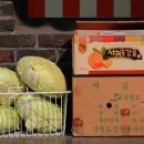 삐삐네 이미지