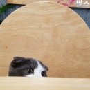 민's헤어(민스헤어)