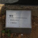 김창환 동산의추억 이미지
