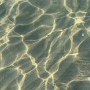 크리스티앙 보뱅(Christian Bobin) : Peaceful walk 이미지