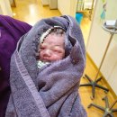 신세인 | 마지막 임신 기록. 동탄제일, 유도분만 1박2일 응급제왕 후기