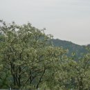 . 편백나무(일본산히노끼) 인테리어. 이미지